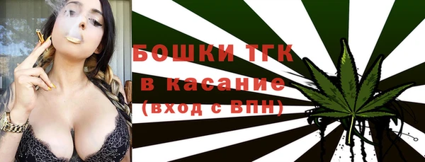 мяу мяу мука Инсар