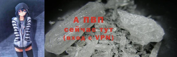 мяу мяу мука Инсар